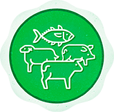 Você escolhe a proteína