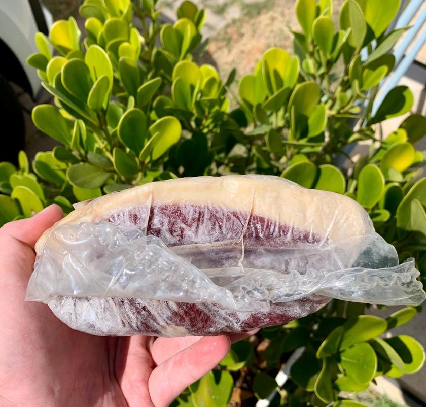 KIT ANGUS + VINHO - 5